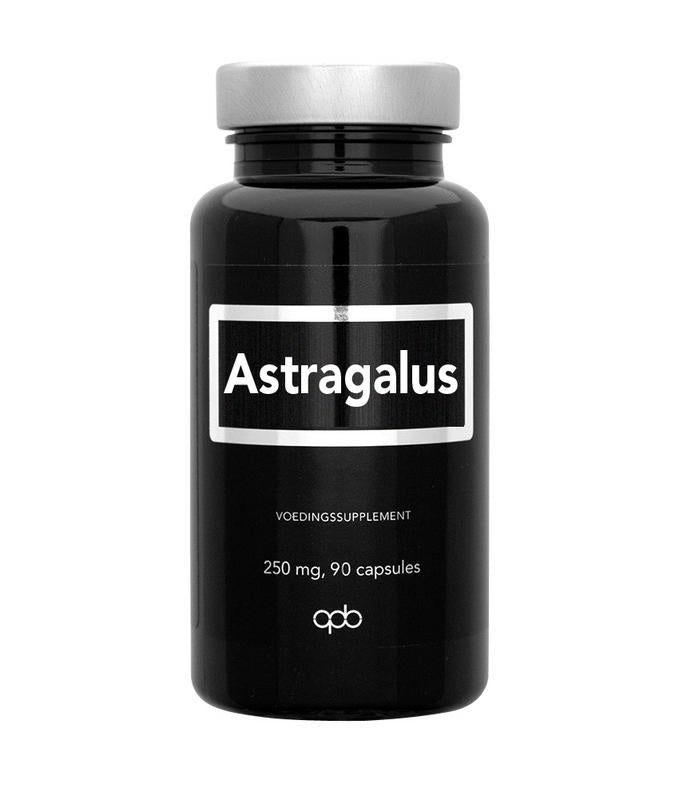 Astragalus